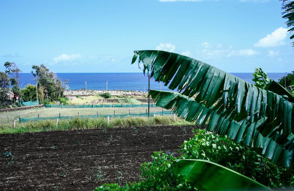 Cabanas Keuhenua Hanga Roa Exterior photo
