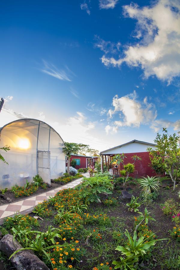 Cabanas Keuhenua Hanga Roa Exterior photo